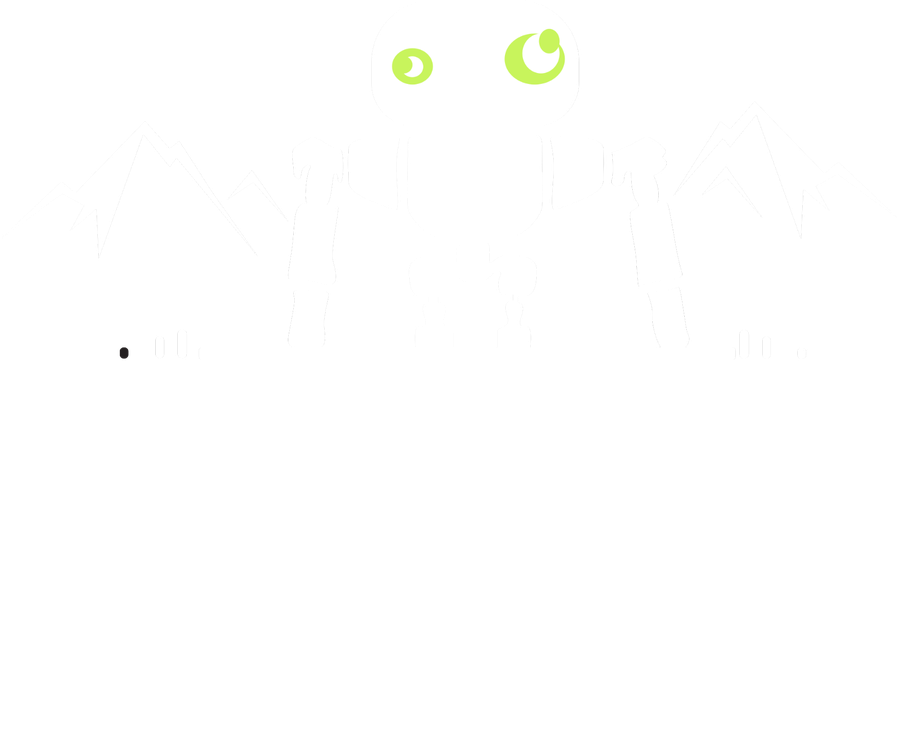 Nomad Robotic